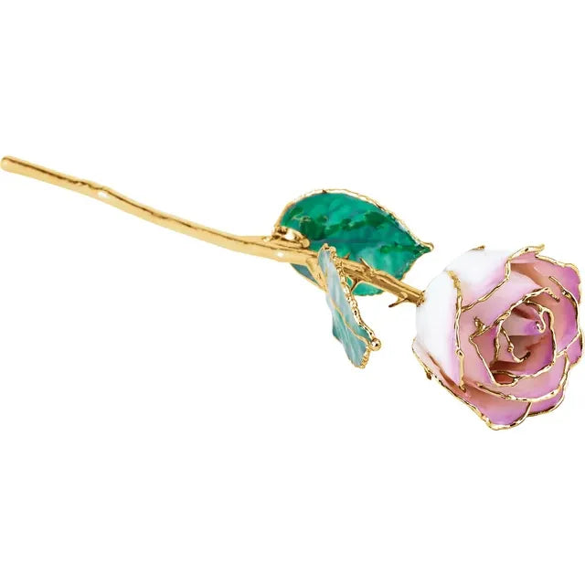 Lacquered Cream & Picasso Ombre Rose with Gold Trim