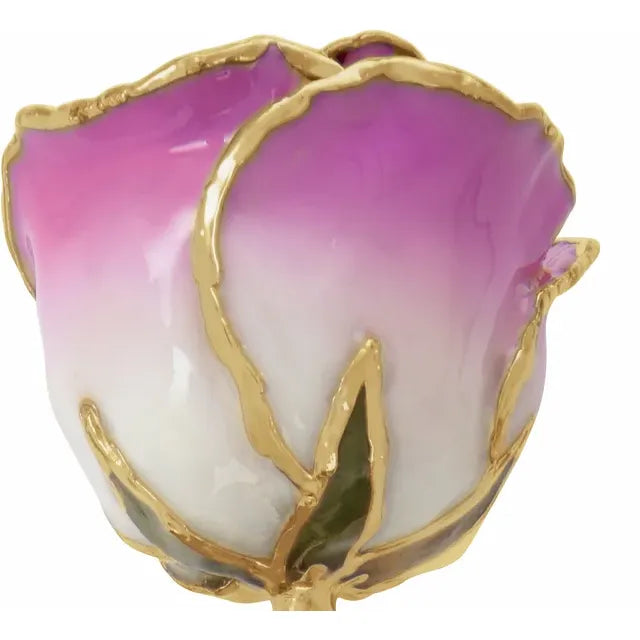 Lacquered Cream & Picasso Ombre Rose with Gold Trim